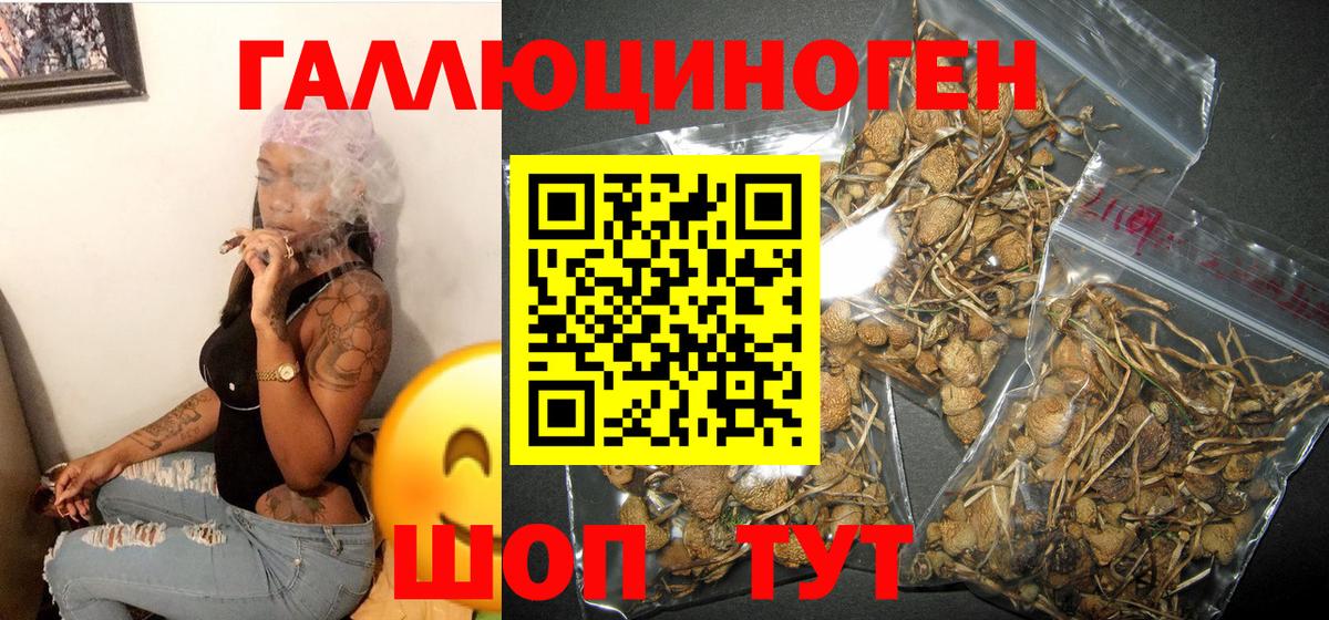 Галлюциногенные грибы ЛСД Елизово