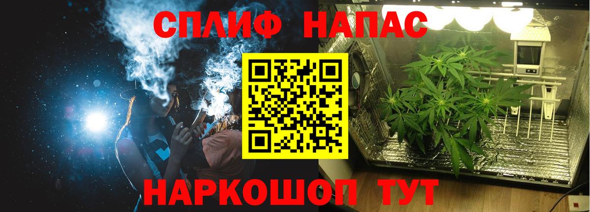 Каннабис семена Елизово